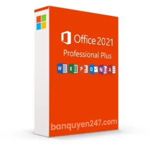 Office 2021 Professional