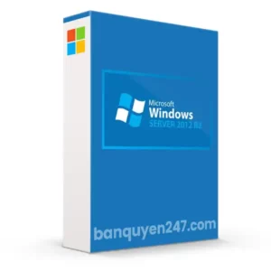 Windows Server 2012 R2 Standard
