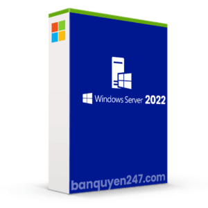 Windows Server 2022