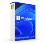Windows 11 Enterprise
