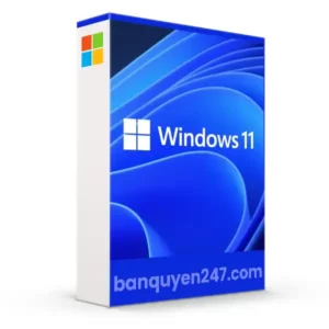 Windows 11 Pro for Workstation