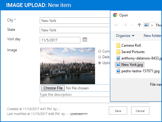 Screenshot of Image Upload Column