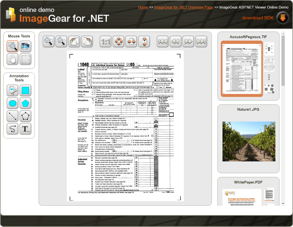 Screenshot of ImageGear for .NET