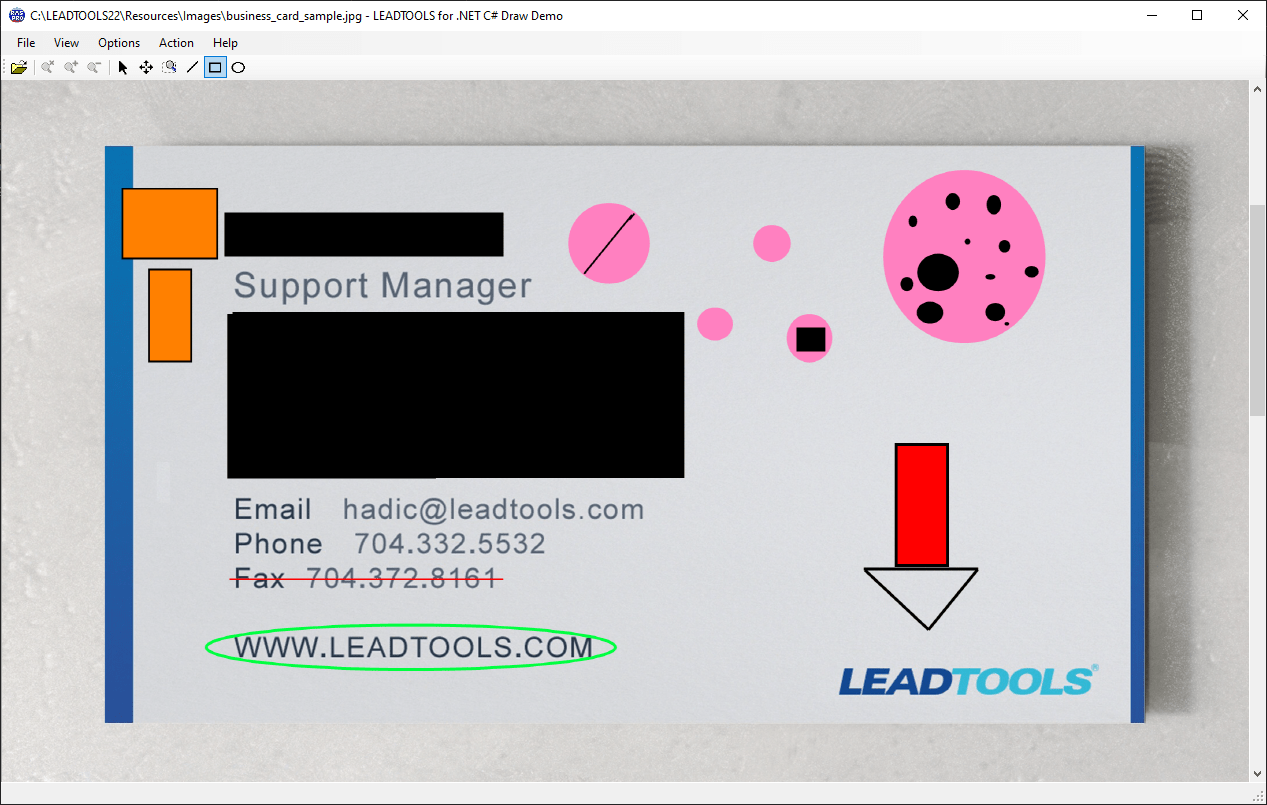 Custom MarkupAdd custom markup to images with LEADTOOLS Drawing technologies.