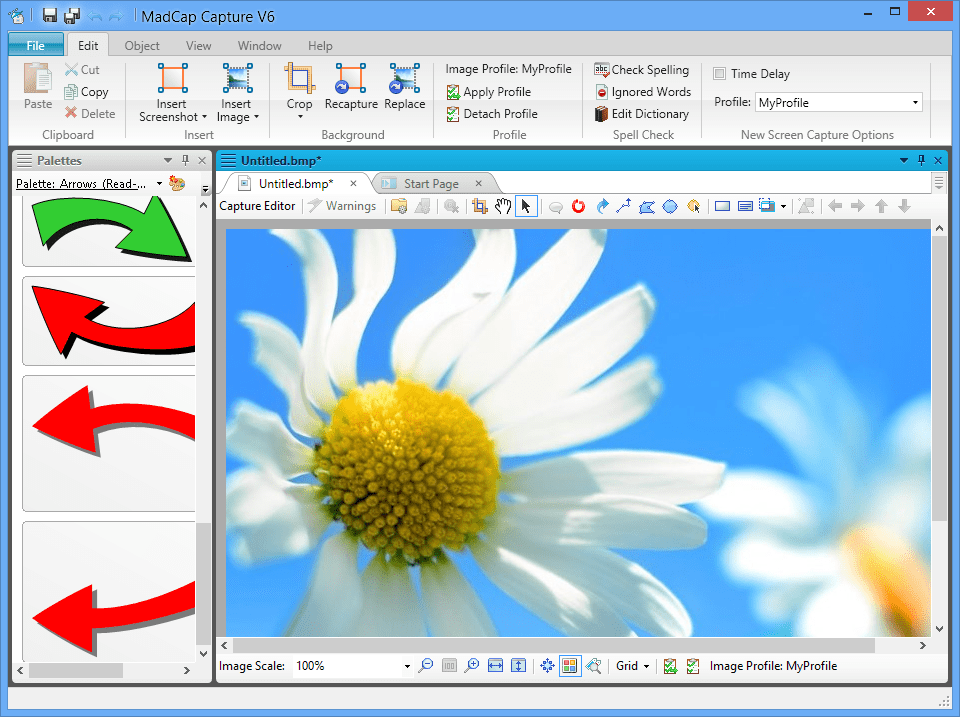 Screenshot of MadCap Capture