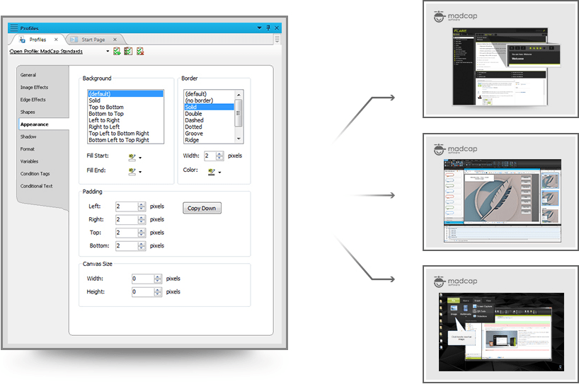 Advanced Screen Capturing Features and Batch Updates