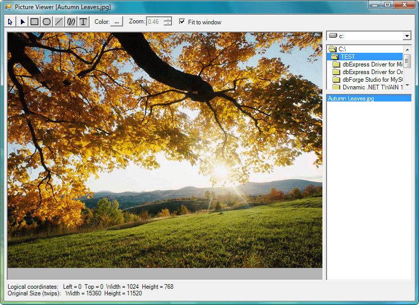 Screenshot of MetaDraw Winforms for .Net