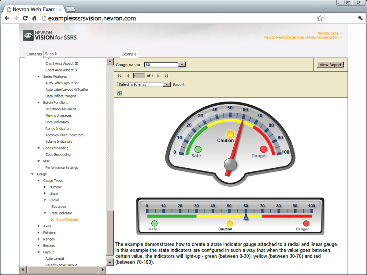 Nevron Gauge for SSRS