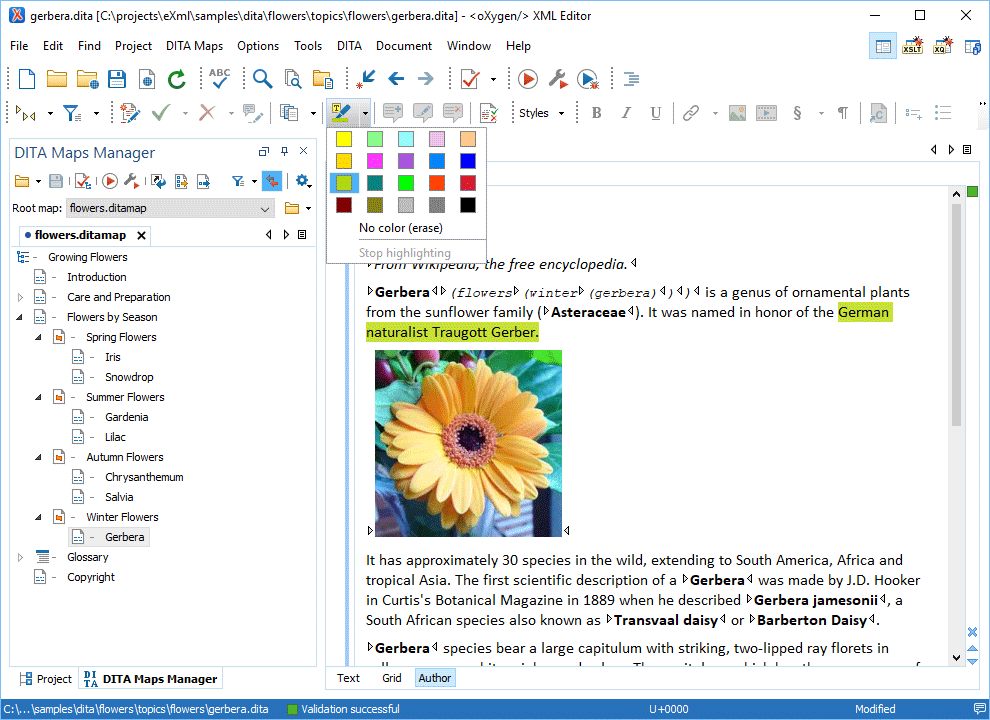 Screenshot of Oxygen XML Author Professional