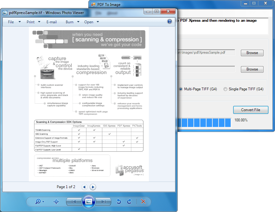 Screenshot of PDF Xpress ActiveX