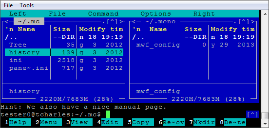 Screenshot of Rebex SSH Shell