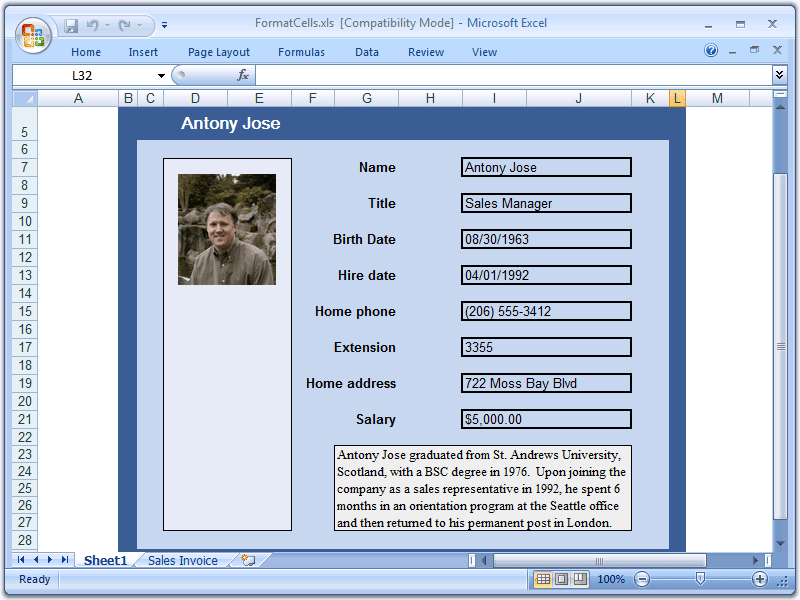 Cell Formatting OptionsSeveral cell formatting options are available to let you create richly formatted Excel documents.