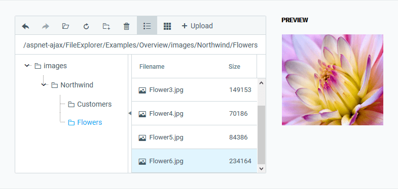 Telerik ASP.NET AJAX File ExplorerThe ASP.NET AJAX File Explorer control completely mimics Windows Explorer functionality, and is entirely built with the Teleri