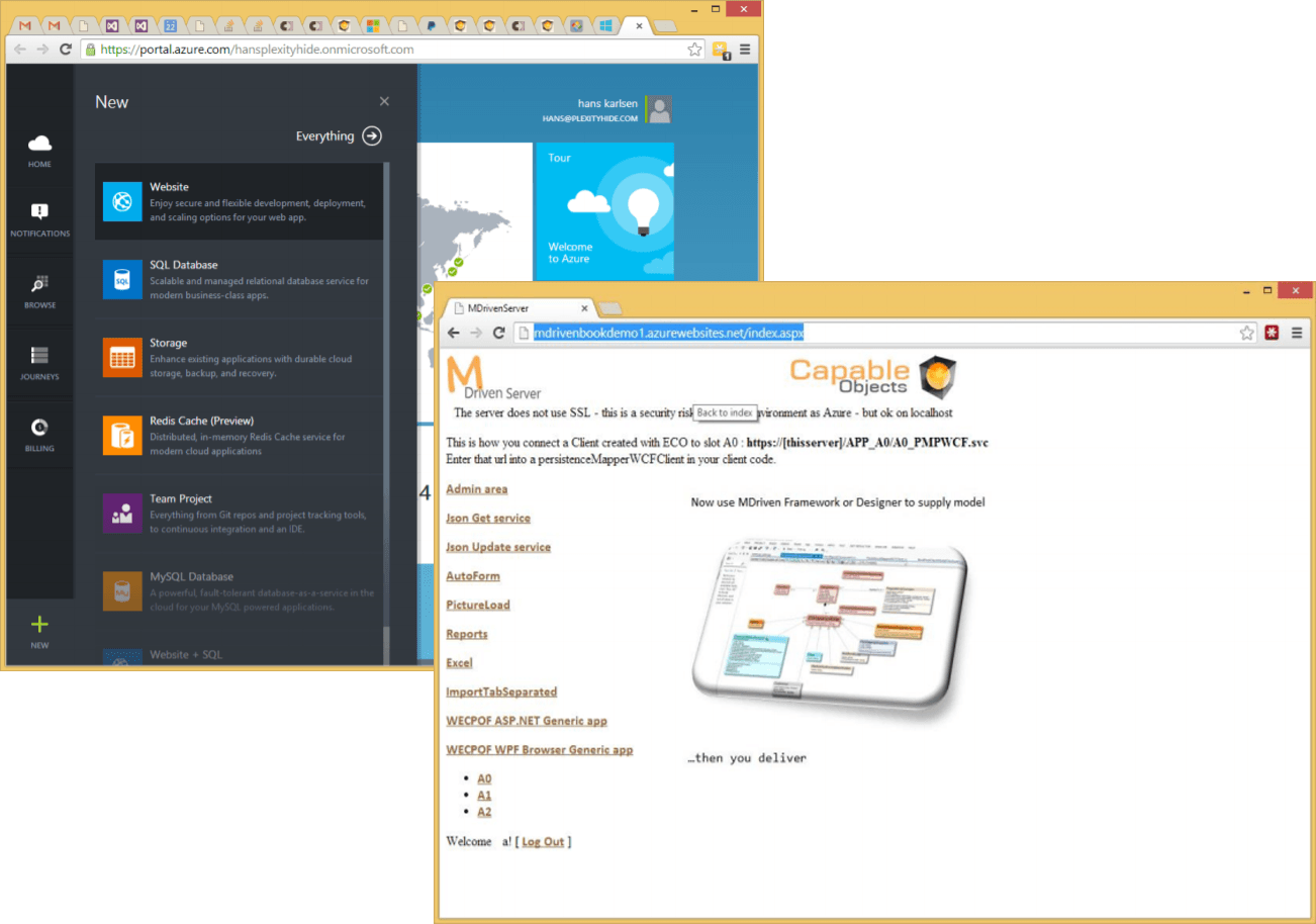 An IIS application that stores your MDriven data in a database.