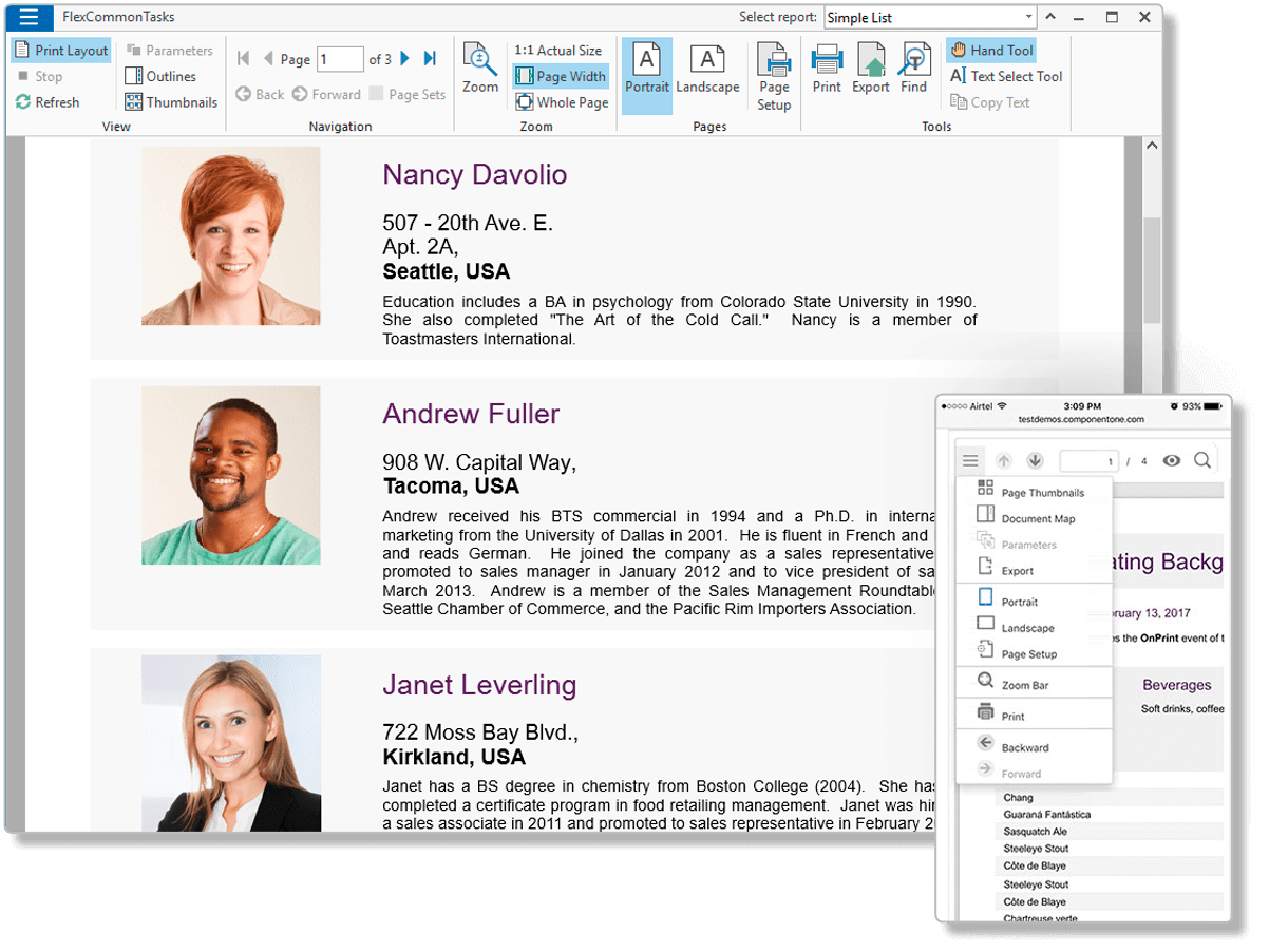 FlexReport: ASP.NET Reporting EngineDeliver fast, modern .NET reports for your business apps, complete with data visualization and code-free report building.