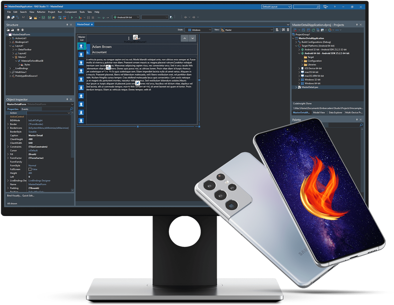 Screenshot of Delphi Professional