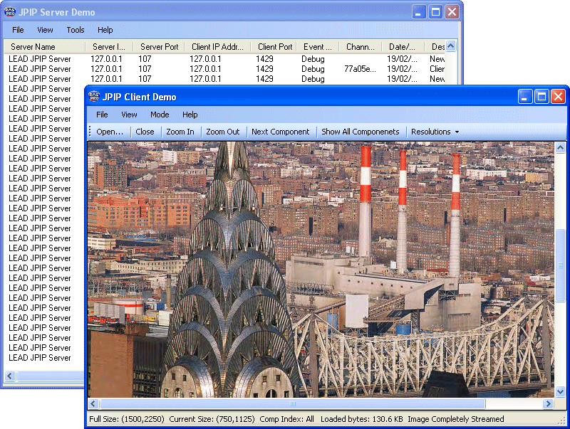 LEADTOOLS JPIP Module