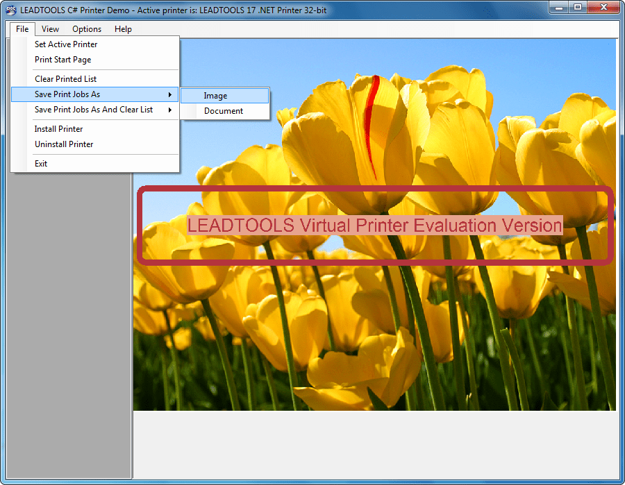 Screenshot of LEADTOOLS Virtual Printer Module