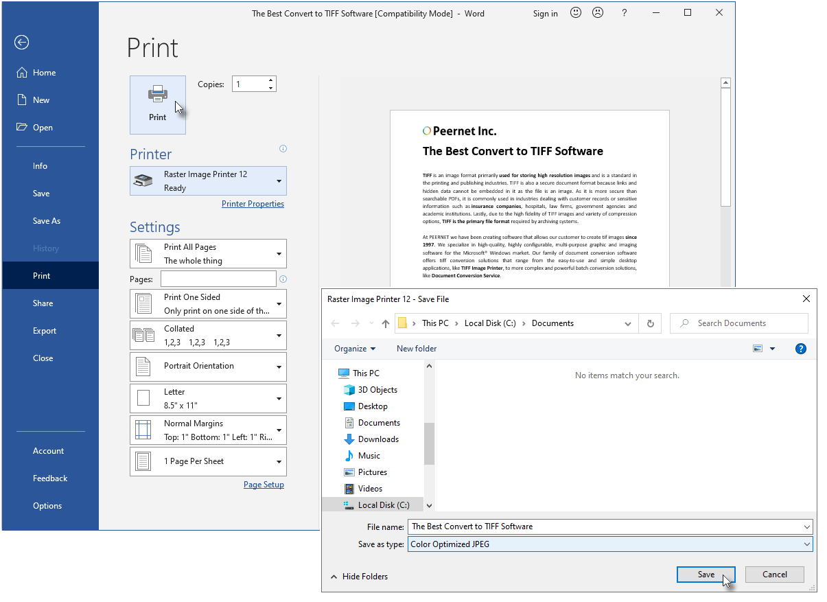 Raster Image Printer