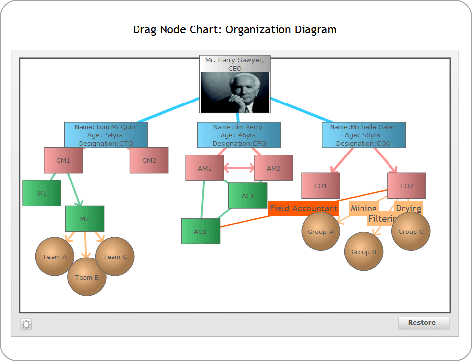 Drag-node ChartThe drag-node chart is a specialized type of chart where each data set is shown on the chart as a drag-able node. Perfect for network diagrams, h