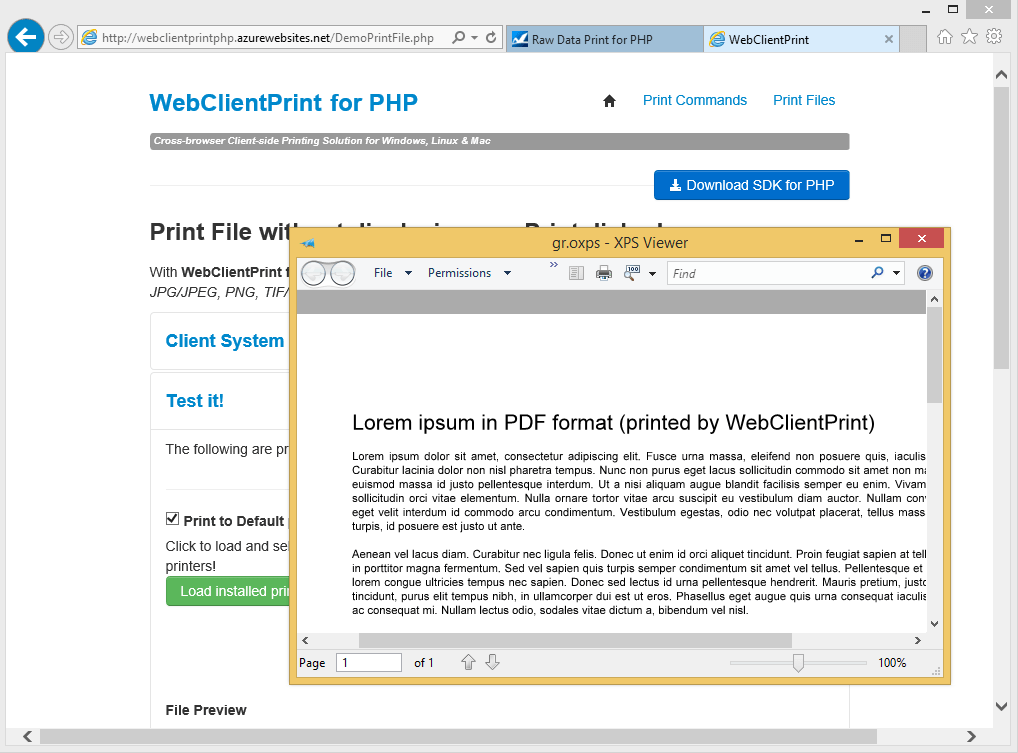 Screenshot of Neodynamic WebClientPrint for PHP