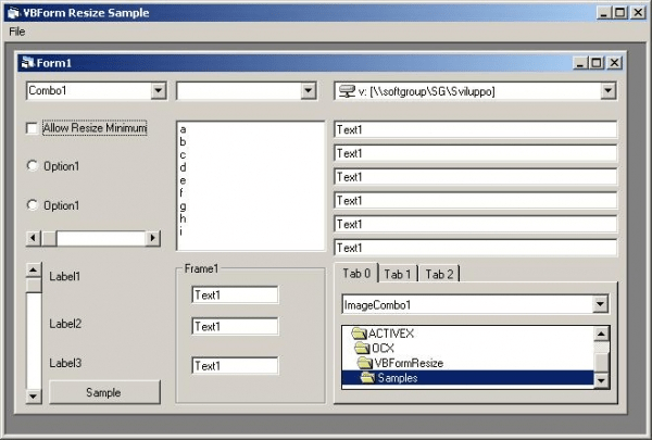 Screenshot of Softgroup VB Forms Resize