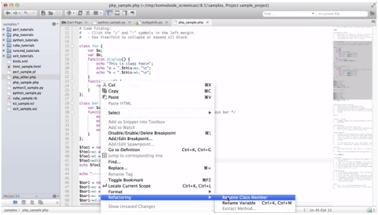 Focus on your coding, and let Komodo sweat the details.