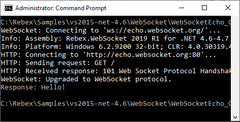 Screenshot of Rebex WebSocket