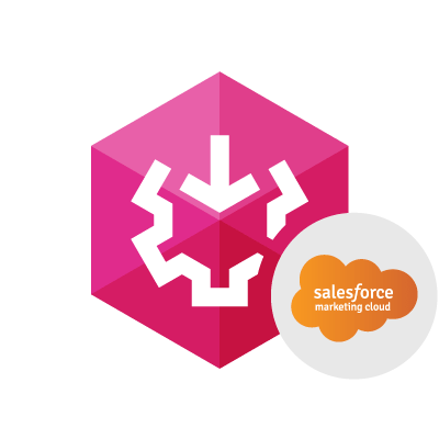 Screenshot of Devart SSIS Data Flow Components for Salesforce Marketing Cloud