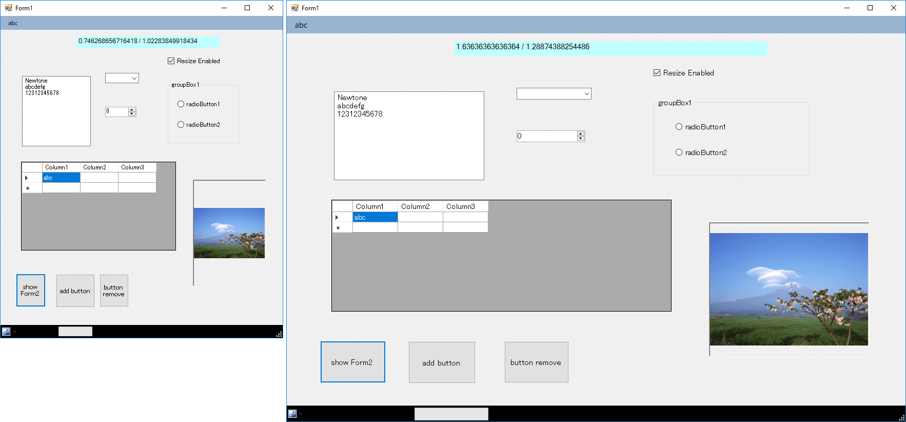 Screenshot of ResizeKit2.NET