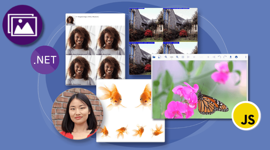 Document Solutions for ImagingDocument Solutions for Imaging (DsImaging) lets you apply advanced image processing in code with no dependencies. You can load and