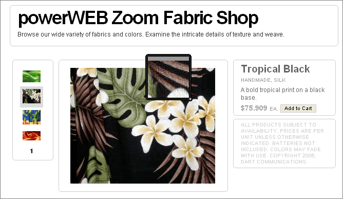 Screenshot of PowerWEB Zoom for ASP.NET