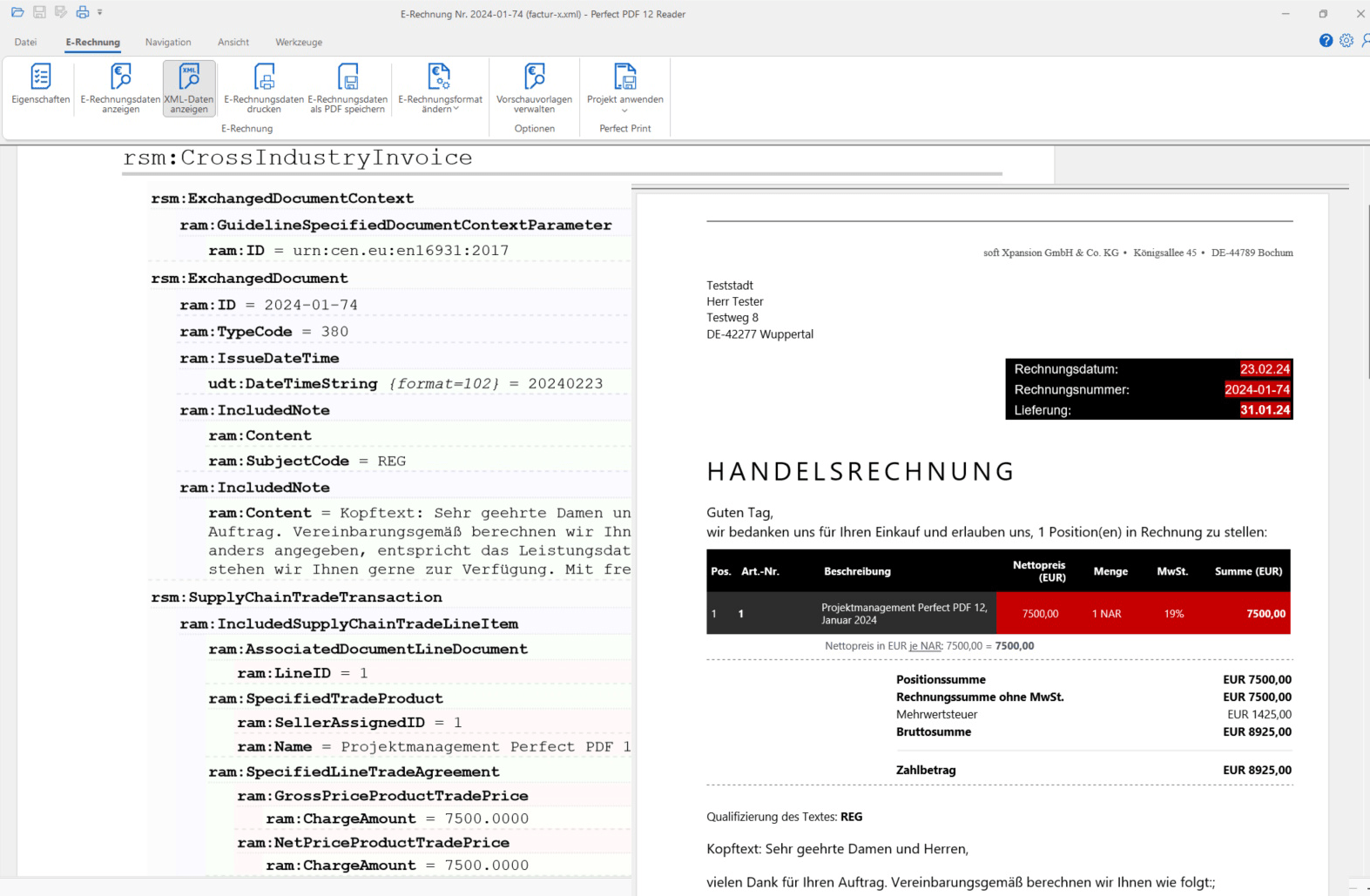 Screenshot of PDF Xpansion SDK - E-Invoicing (Receipt)