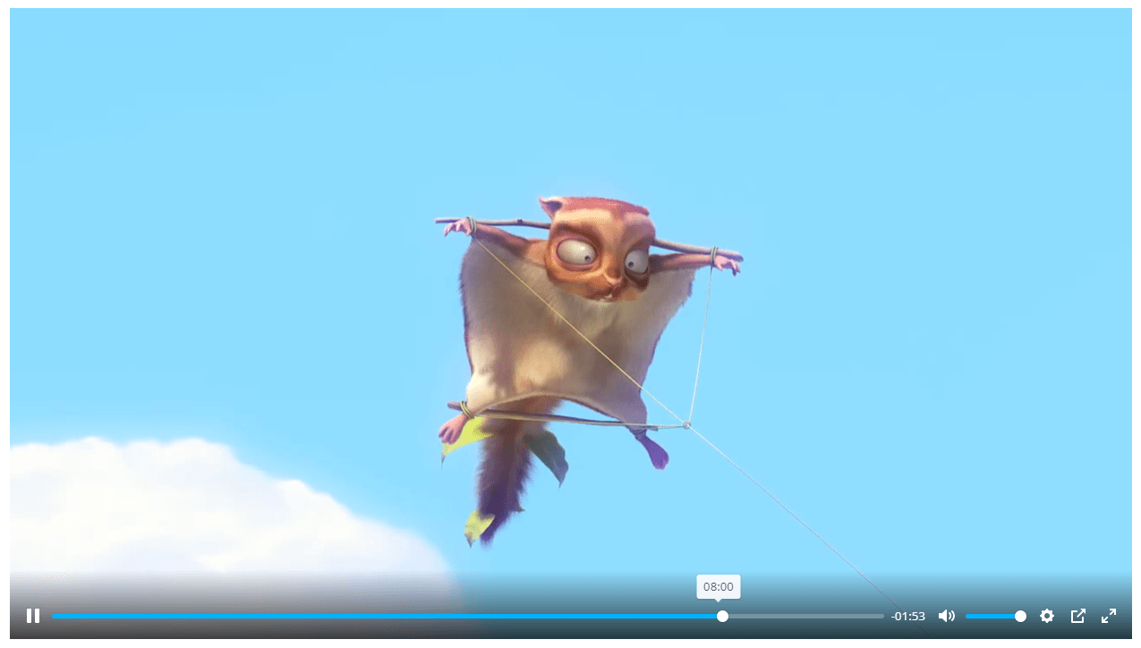 Advanced video player can handle live streaming video feeds or video files.