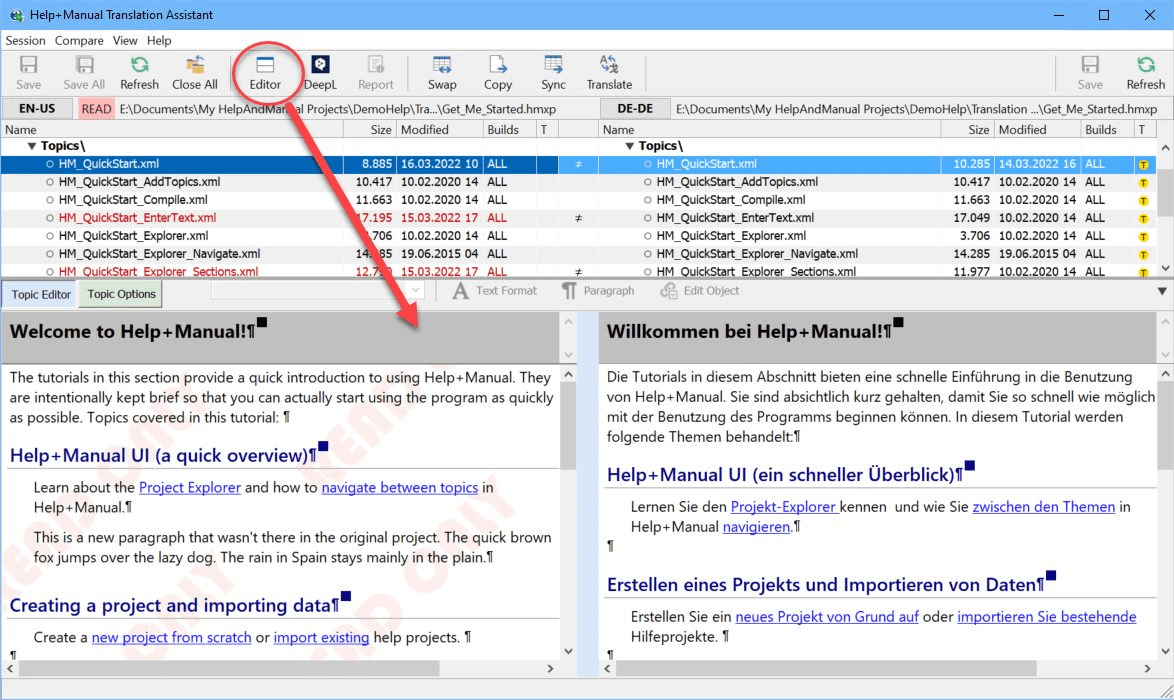 Screenshot of Help & Manual Translation Assistant