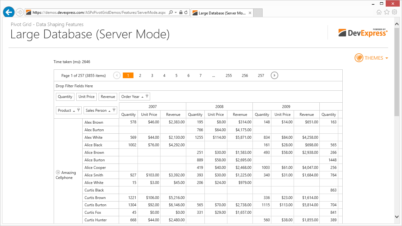 Pivot Grid in Server Mode