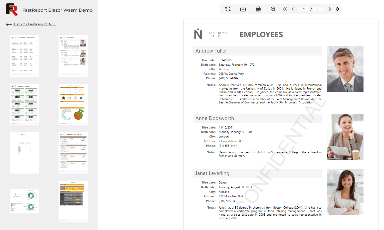 Screenshot of FastReport .NET WEB