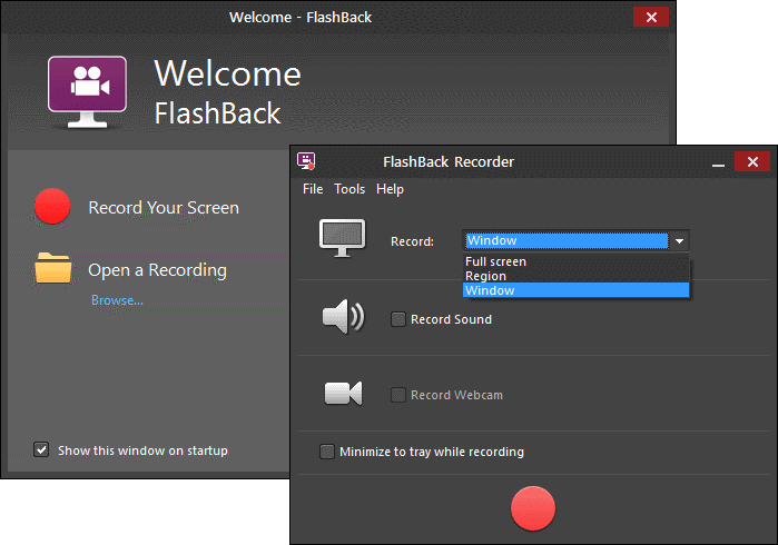 Screenshot of FlashBack Plus