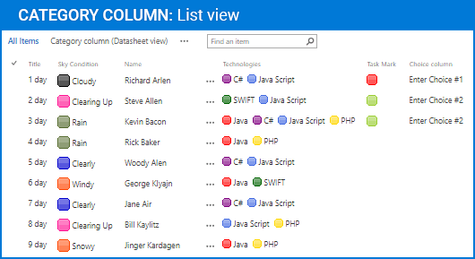 Screenshot of Category Column
