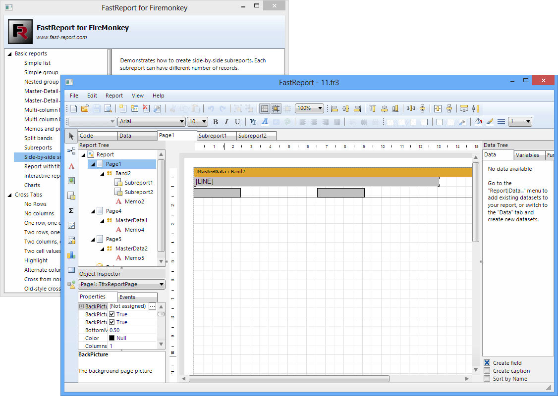 FastReport VCL Reporting FMX