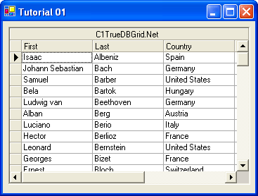 Bind DataBind True DBGrid for .NET to a DataSet and create fully functional database browsers.