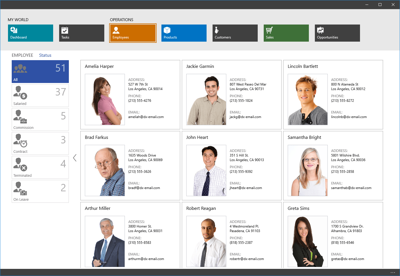 Screenshot of DevExpress Universal