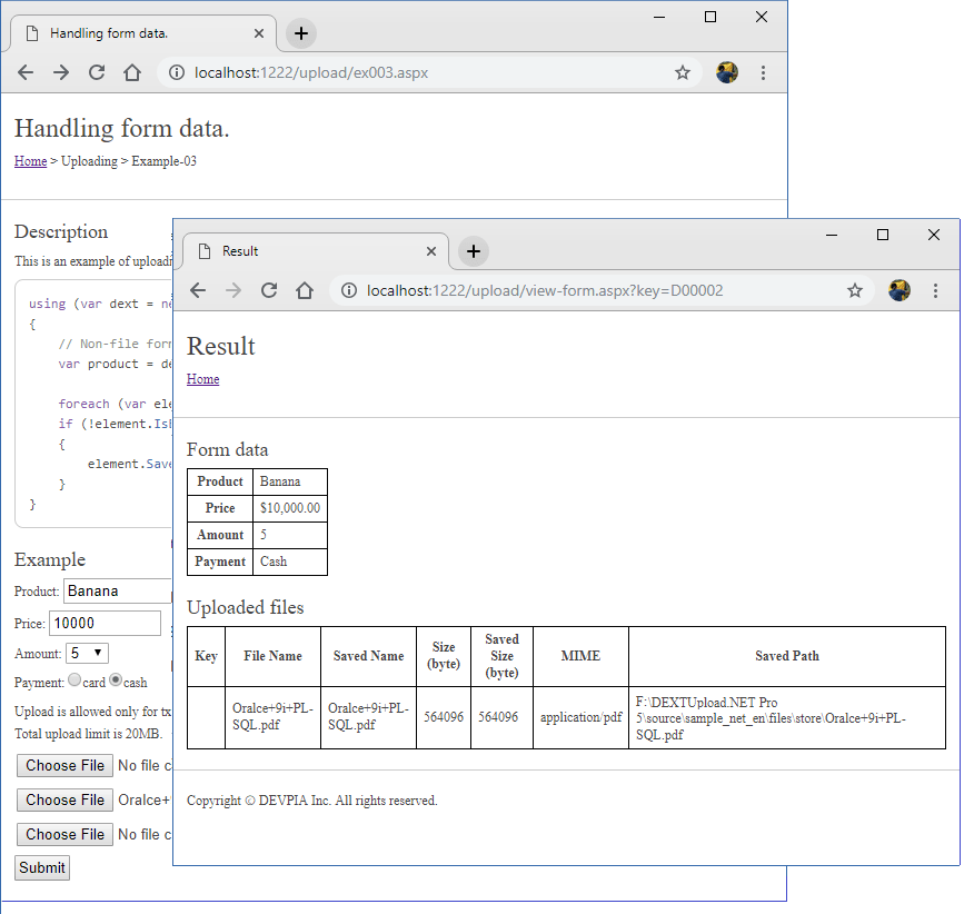 Screenshot of DEXTUpload .NET Pro