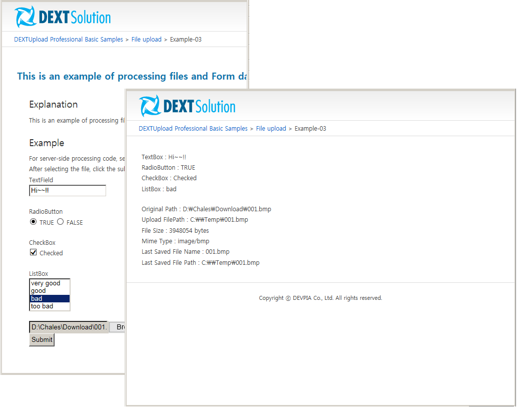 Screenshot of DEXTUpload Pro