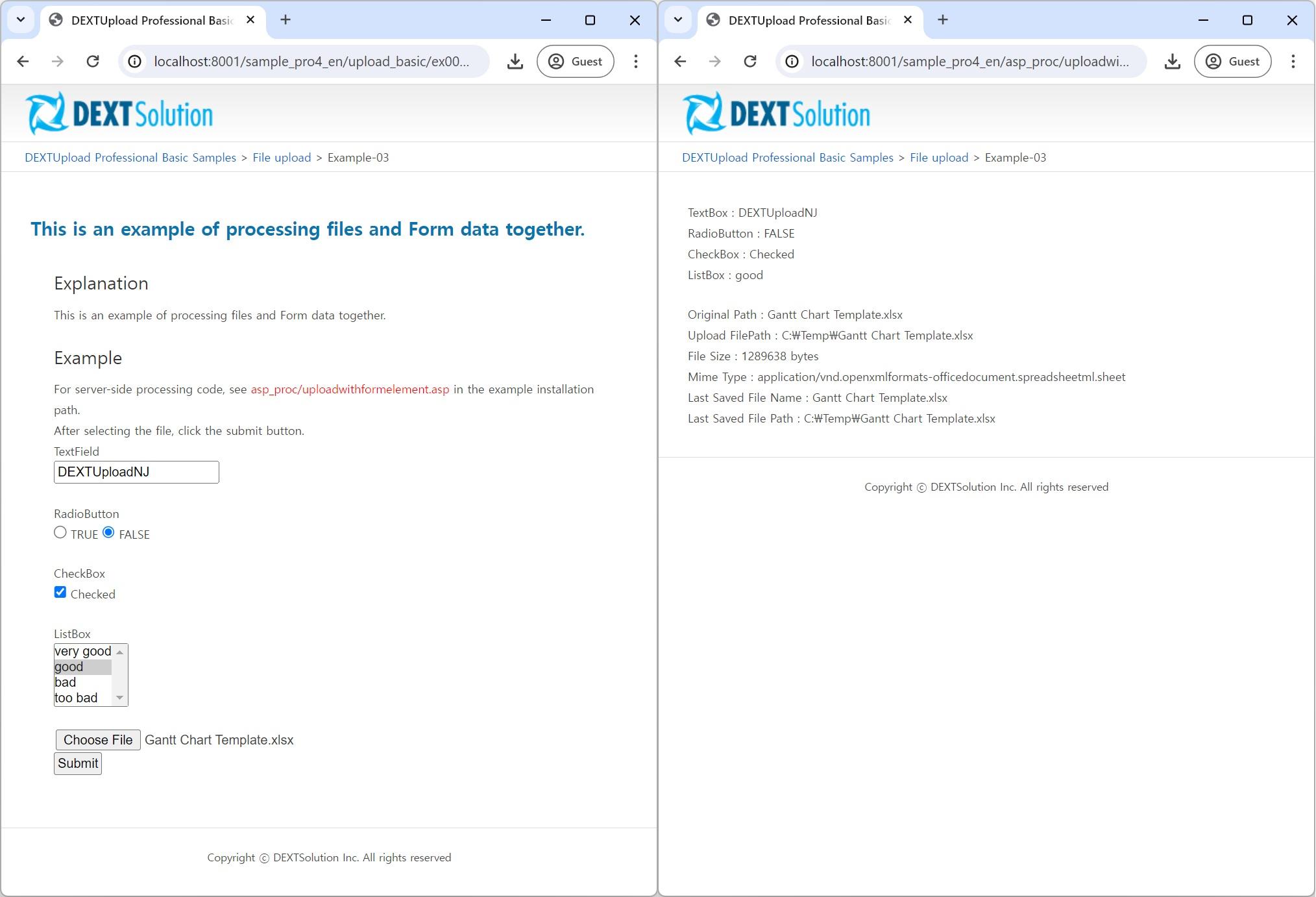 Form data Example for processing files and form data together.