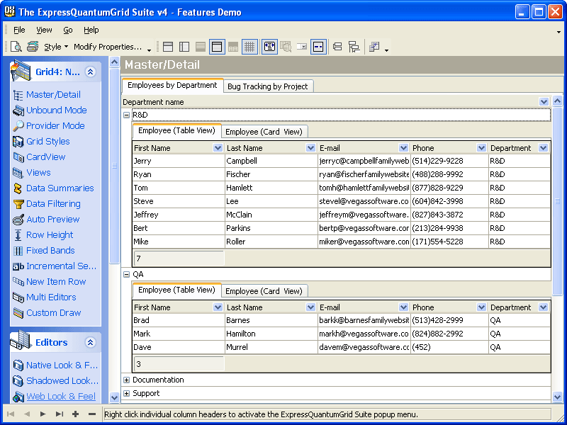 Master/DetailMaster/Detail grid with integrated data grouping - now with the ability to display master/detail information in tabular or card format