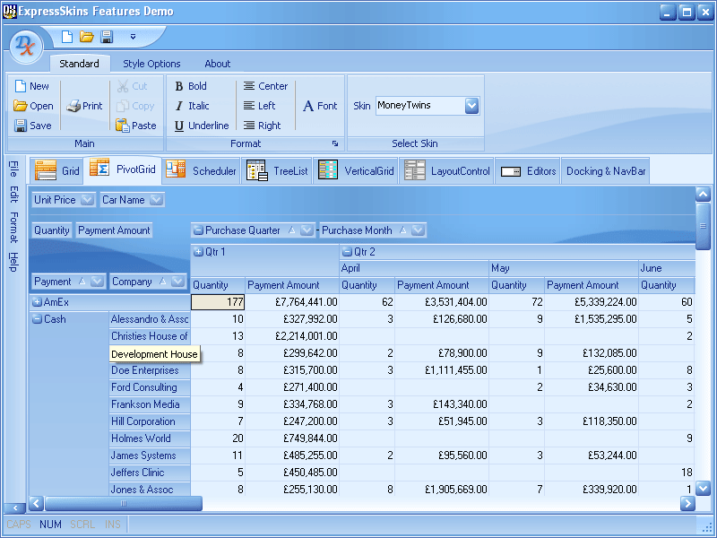 PivotGridYou can also Skin the ExpressPivotGrid.