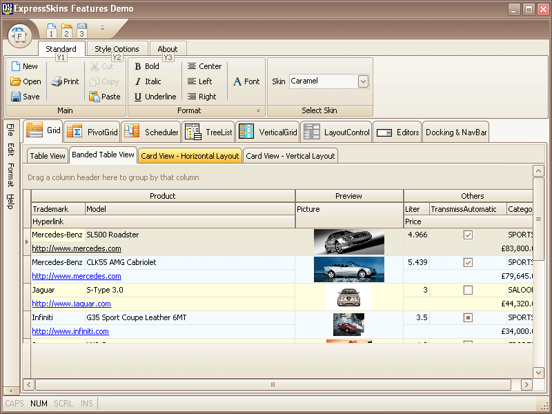 GridThis product allows you to easily Skin other Developer Express components. For example the ExpressQuantumGrid.
