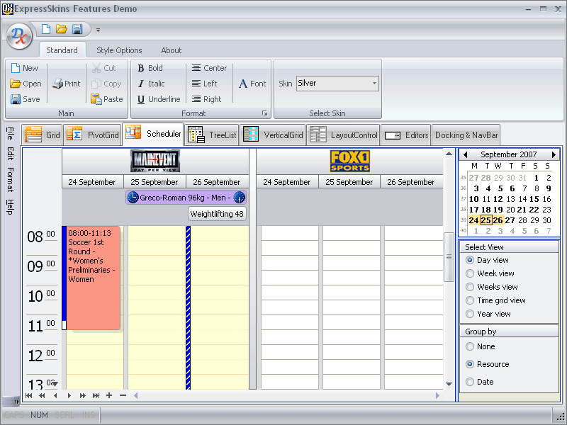 SchedulerHere the ExpressScheduler component is skinned in sliver.