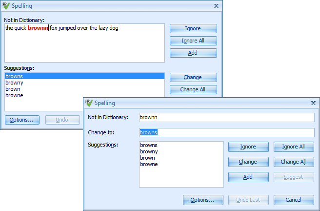 Screenshot of Express Spell Checker